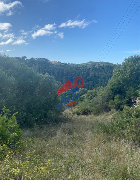 Terreno a venda nos Junqueiros Ericeira