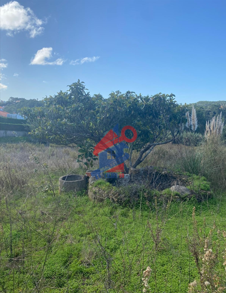 Terreno a venda nos Junqueiros Ericeira