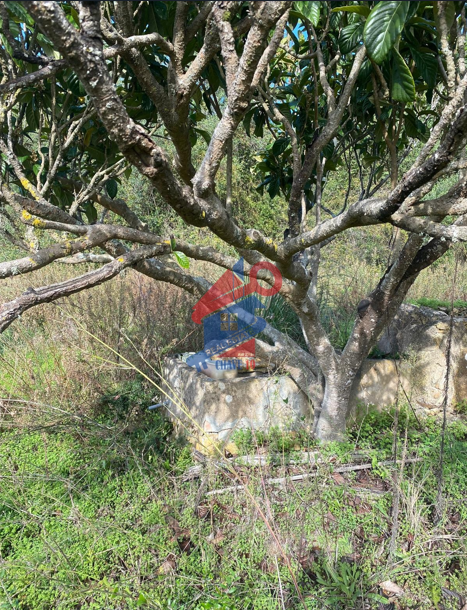Terreno a venda nos Junqueiros Ericeira