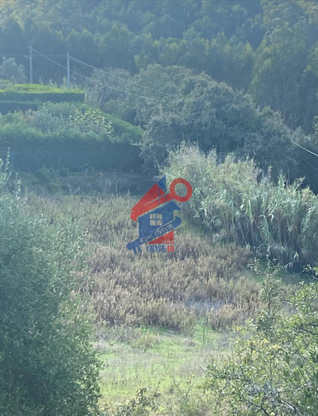 Terreno a venda nos Junqueiros Ericeira