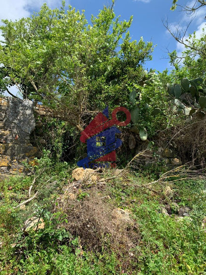 Conjunto de várias ruinas - Mafra