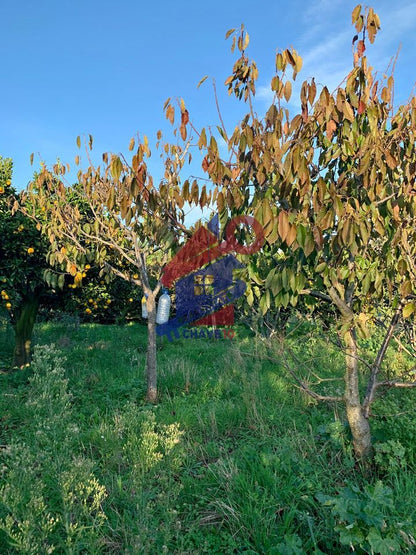 Quinta para Turismo Rural