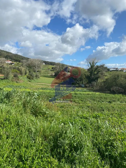 Quinta Próxima Do Turcifal